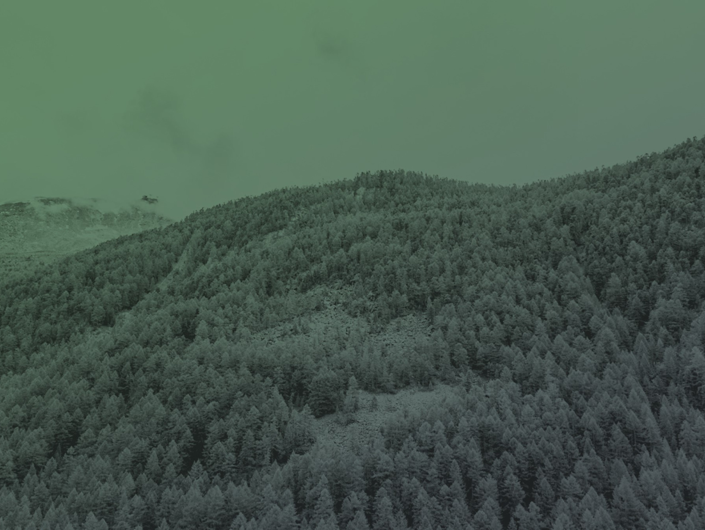 Landqart AG – leading manufacturer of high security paper